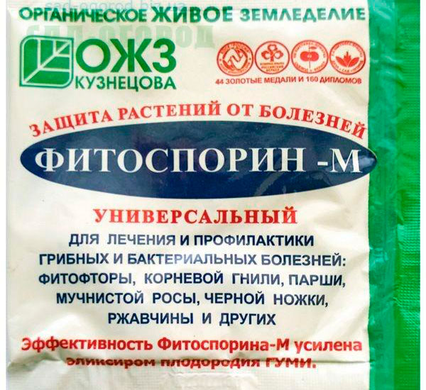 лучший препарат для профилактики