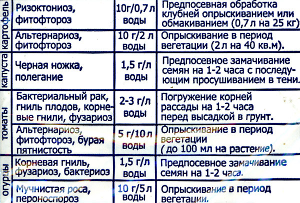 Фитоспорин – безопасная биологическая защита томатов от болезней