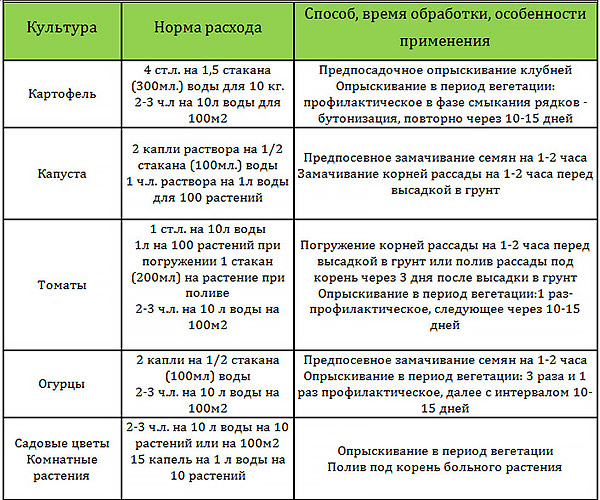 Фитоспорин – безопасная биологическая защита томатов от болезней