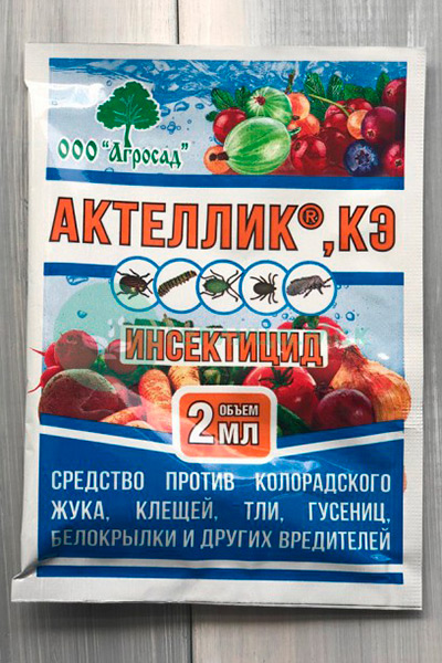 Борьба с белокрылкой народными средствами в огороде