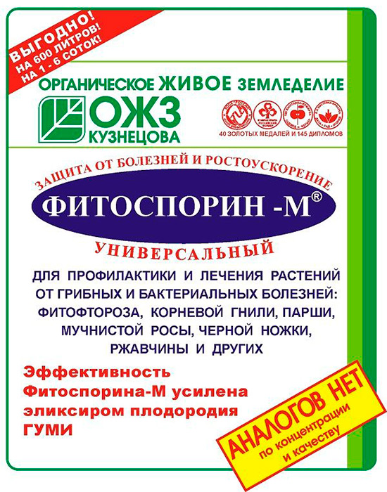 Описание и лечение распространенных болезней черной и красной смородины