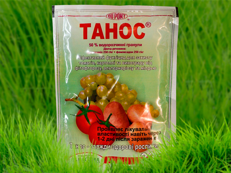 Как применять фунгицид Танос для обработки растений