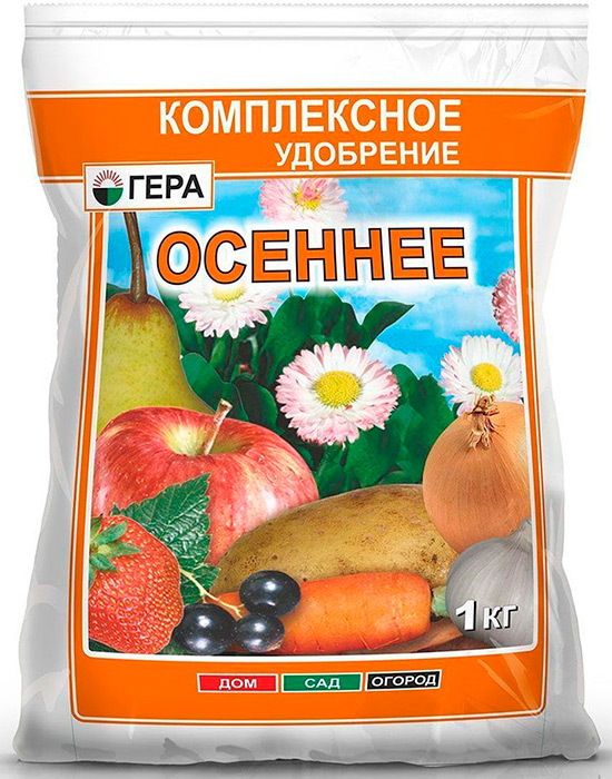 Подготовка клубники к зимовке: укрытие и полезные рекомендации