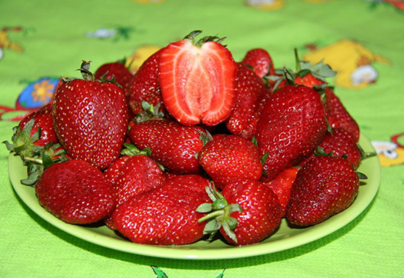 Какие сорта садовой земляники самые сладкие и вкусные